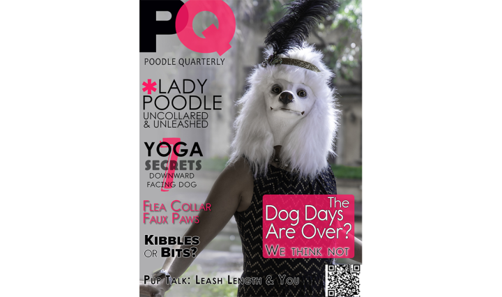 Introducing...Poodle Quarterly! by Tore Bellis