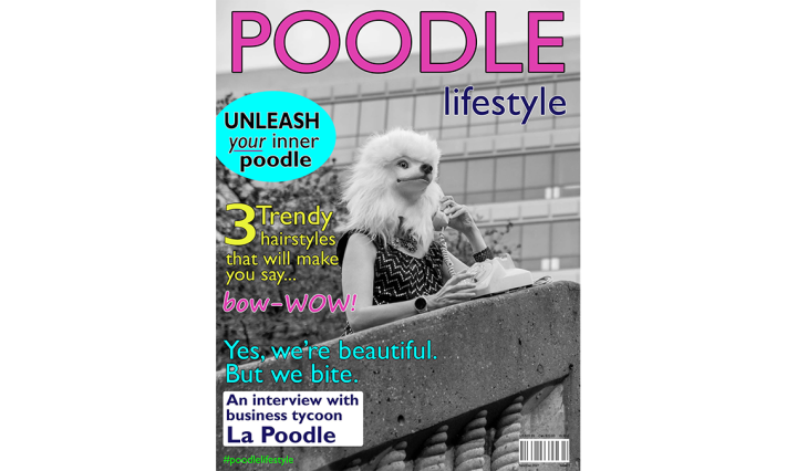 Poodle Lifestyle magazine